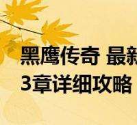 十五运会女篮资格赛附加赛：河南、新疆、山西晋级